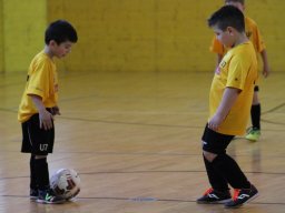 mini-IMG_6929